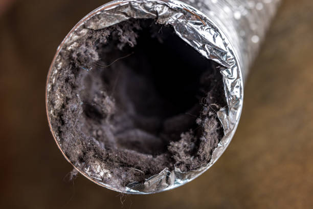 Best Residential Air Duct Cleaning  in Larimore, ND