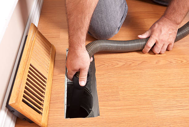 Best Air Duct Mold Removal  in Larimore, ND