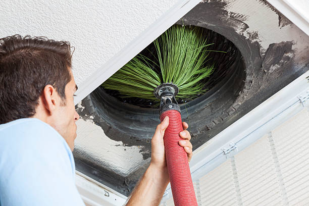 Best Air Vent Cleaning Services  in Larimore, ND